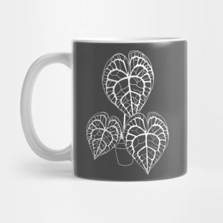 Anthurium clarinervium (white) Mug